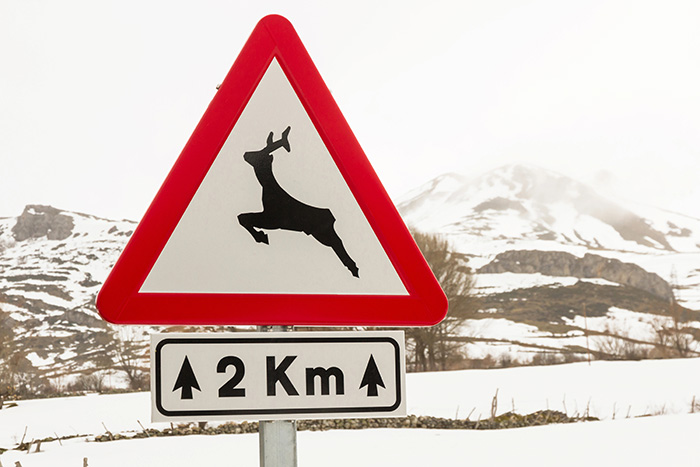 Flechas en señales verticales