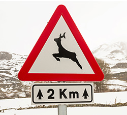 Flechas en señales verticales