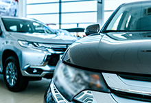 Informe de vehículo