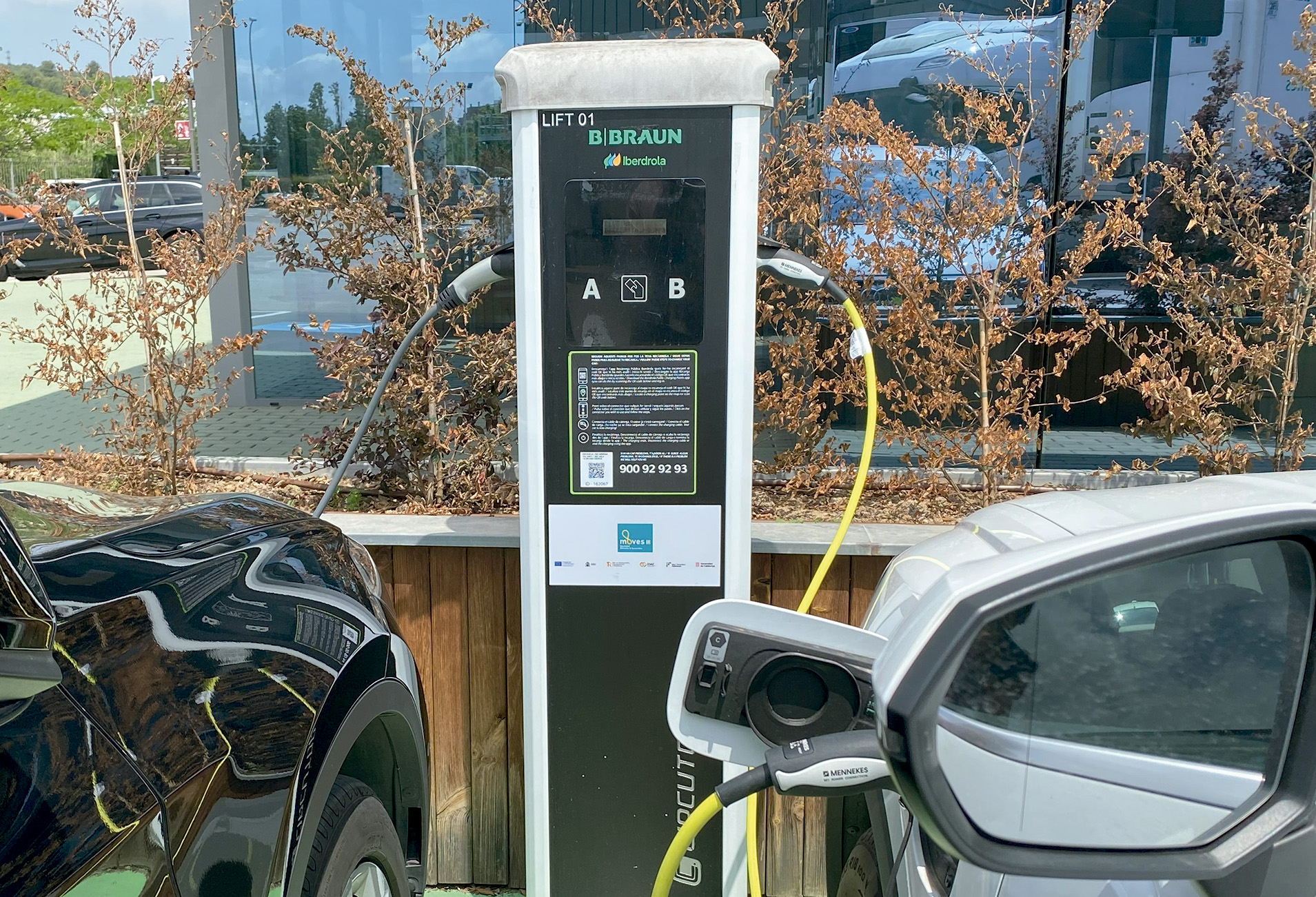 Eléctricos asequibles en 2026