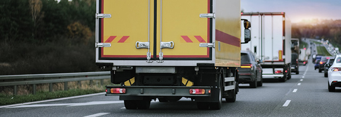 Qué es la barra Mansfield