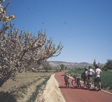 Ciclistas en una vía verde