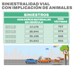Siniestralidad con animales