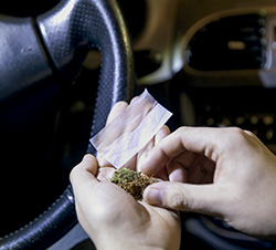 Cannabis al volante