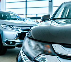 Informe de vehículos