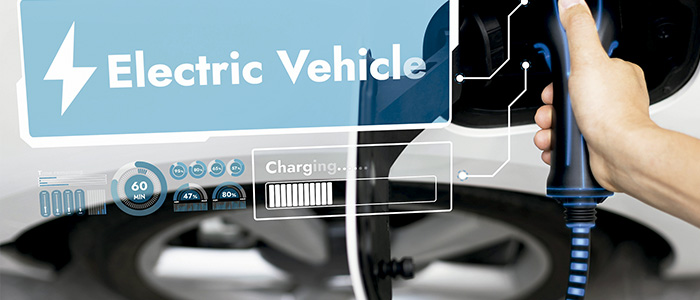 1216 n276 TM VOCABULARIO ELECTRICO INTERIOR 2 700X300