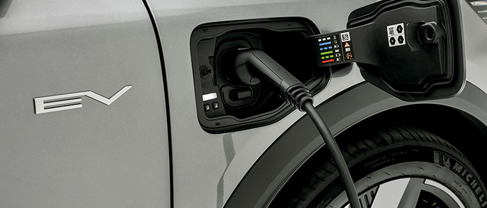 1216 n276 TM VOCABULARIO ELECTRICO INTERIOR 3 700X300